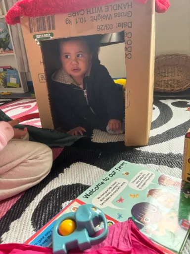 A pēpi peeking out from inside a cardboard box
